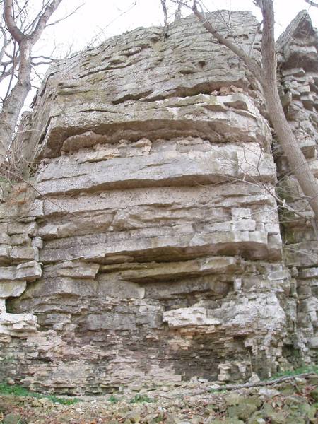 Face on buttress at South end of Dead Tree Amphitheater