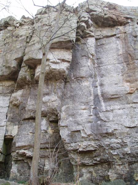 The pride of the Red Bird Statue Area:<br>
<br>
5.8 Crack (5.10) on the left<br>
Fern Route (5.11-) in the middle<br>
Several face climbs near the water streaks on the right.