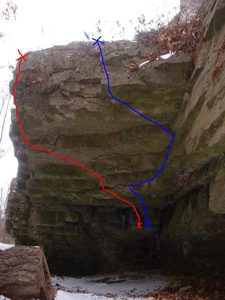 Poison Berry follows the blue line.