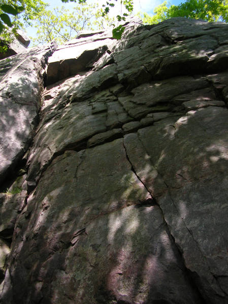 Dead Tree Wall showing Dead Tree crack on left and Tardis on right.