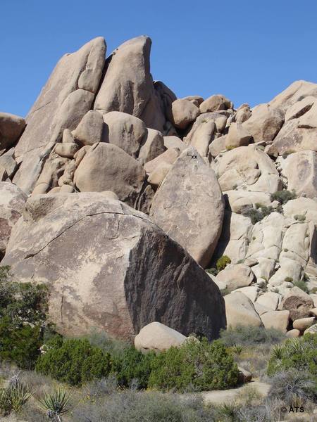 Rock Climbing in Big Bob's Big Wedge, Joshua Tree National Park