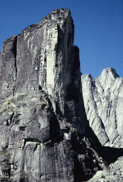 Terrace Tower.