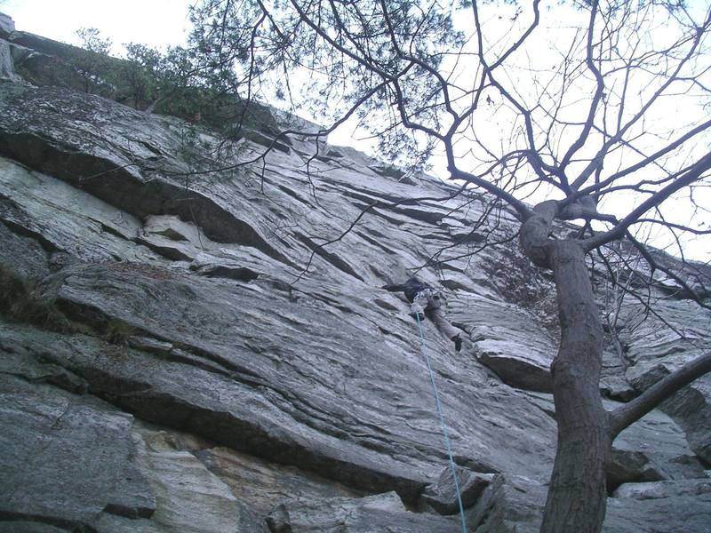 2nd pitch of Three Doves. From here, the route breaks left to the trees in the upper left corner, climbs a steep, blank face with the pin, and then traverses back right along the roof.