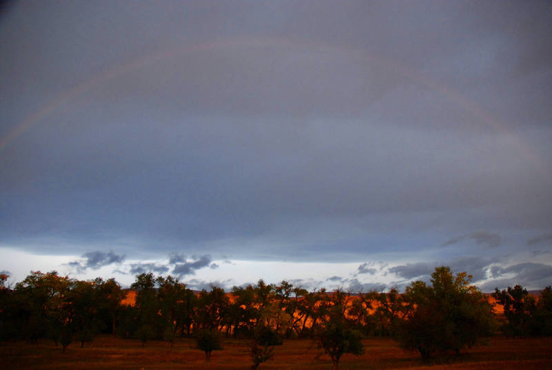 A rainbow on an early fall morning in Lander, WY, just downstreem from the sinks. Photo by Ian Wolfe