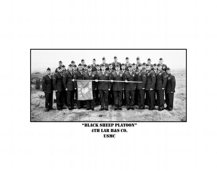 Black Sheep Platoon just back from Iraq. That is me the 3rd from the left in the first row.