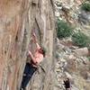 Clipping the 2nd bolt on Sun Dialed (5.11c), Mt. Lemmon