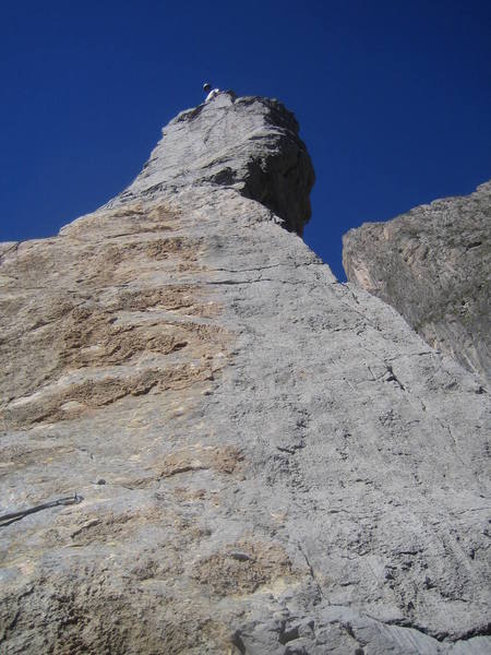 The summit