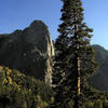 Sentinel Rock and The Muir Tree.<br>
Photo by Blitzo.<br>
