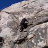 Sam Kingrey, aka Dad, experiencing his first rock climb at age 63!