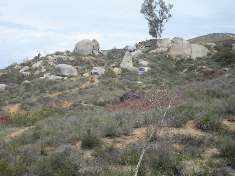 Hillside Area