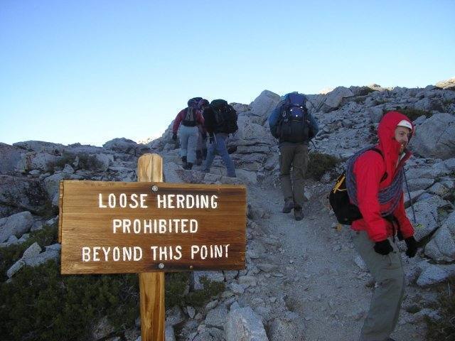 Once we reached Sheepard Pass, we had to leave our loose herds behind...