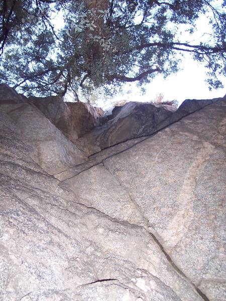 Looking up at the roof from the base of Frankincense (5.8).