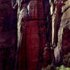 Cliff detail-Zion.<br>
Photo by Blitzo.