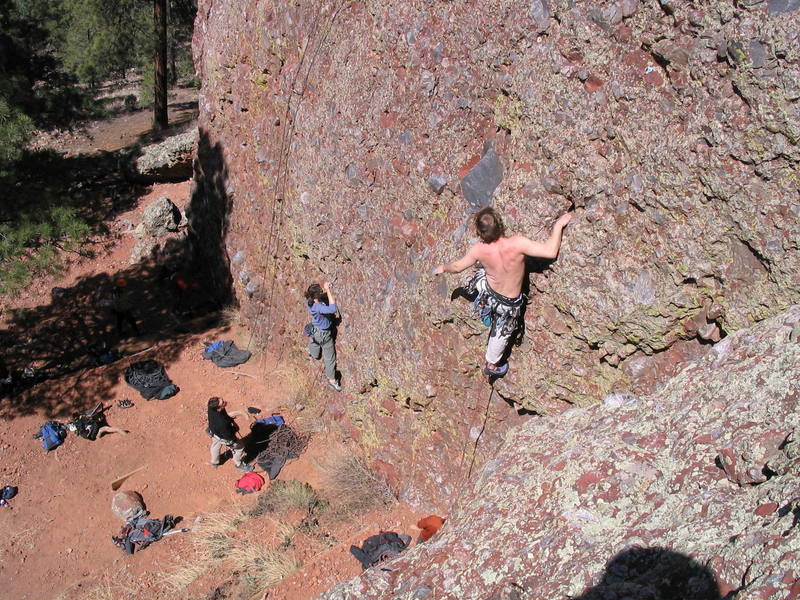Andy leading Oreo. At the sweet stuff in the middle.<br>