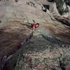 Peter Prandoni climbing Mississippi Halfstep on Poe Buttress in the Cathedral Spires near Foxton Co.Photo Olaf Mitchell