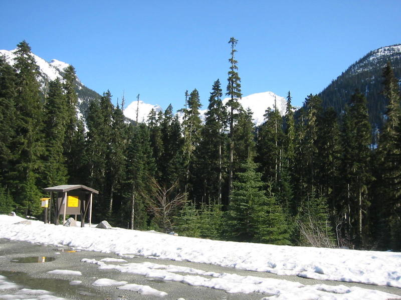 Looking up at the Joffre formation from the Joffre Lakes parking lot, April 2004. Hopefully someone will post some information about the routes in this area soon!