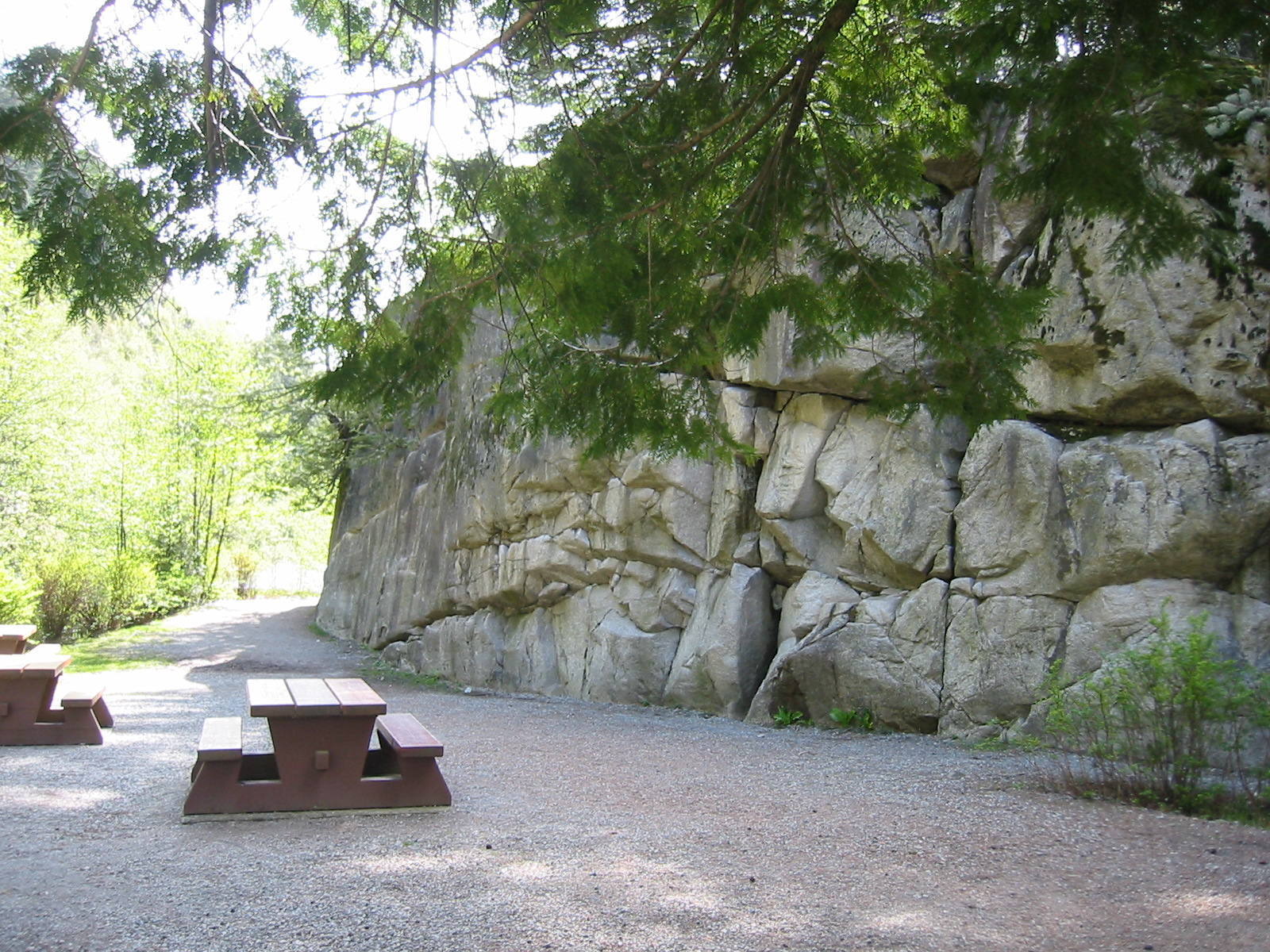 The trail from the parking lot to Browning Lake passes by a very