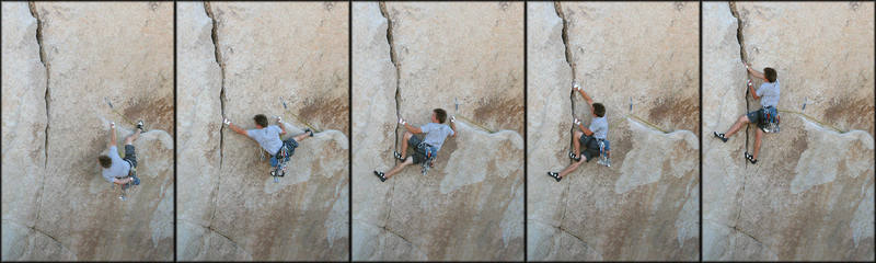 Here's the sequence Beta for Bearded Cabbage...