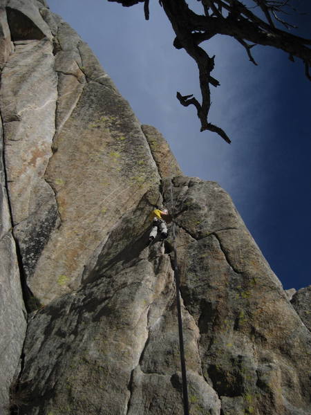 Matt Tooting at Lumpy
