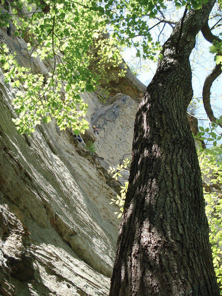 Where Lizards Dare, from the ground...<br>
great exposure... Casey is the climber in the middle of the picture...