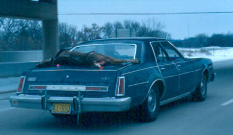 Wisconsin Traditions!!