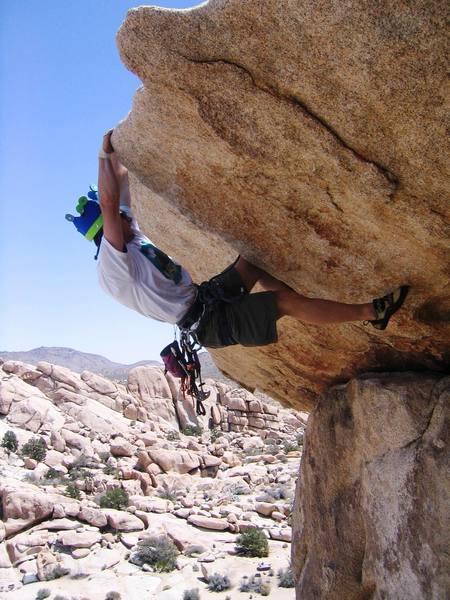 Surmounting Geronimo Roof in J-Tree with my 30th birthday crown.