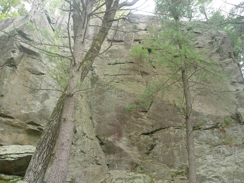 second face on your way in. Large face of moderate to easy climbs, easy set ups on top.