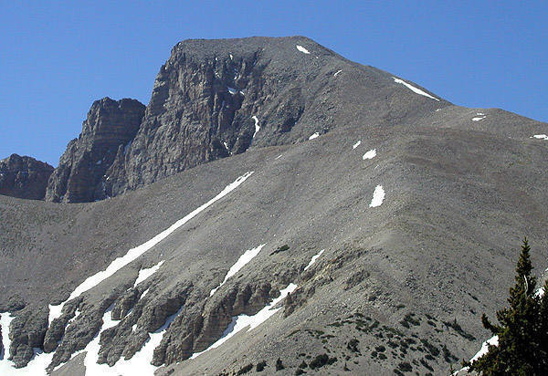 Wheeler Peak. The trail goes up the right shoulder.<br>
Photo by Blitzo.
