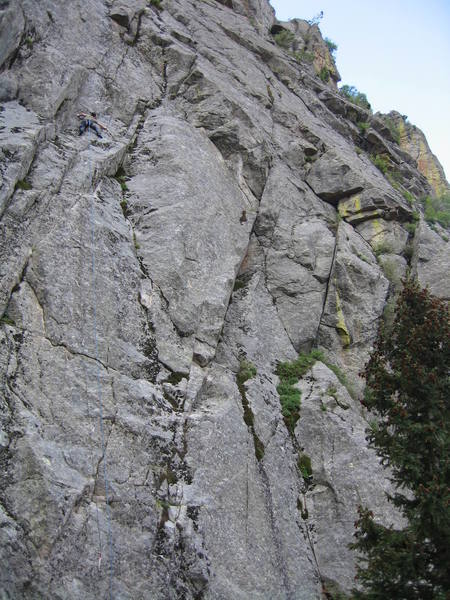 Mike R high on the no-longer-mossy route. The clean, diamond-shaped slab to his right is the crux of Consilience.