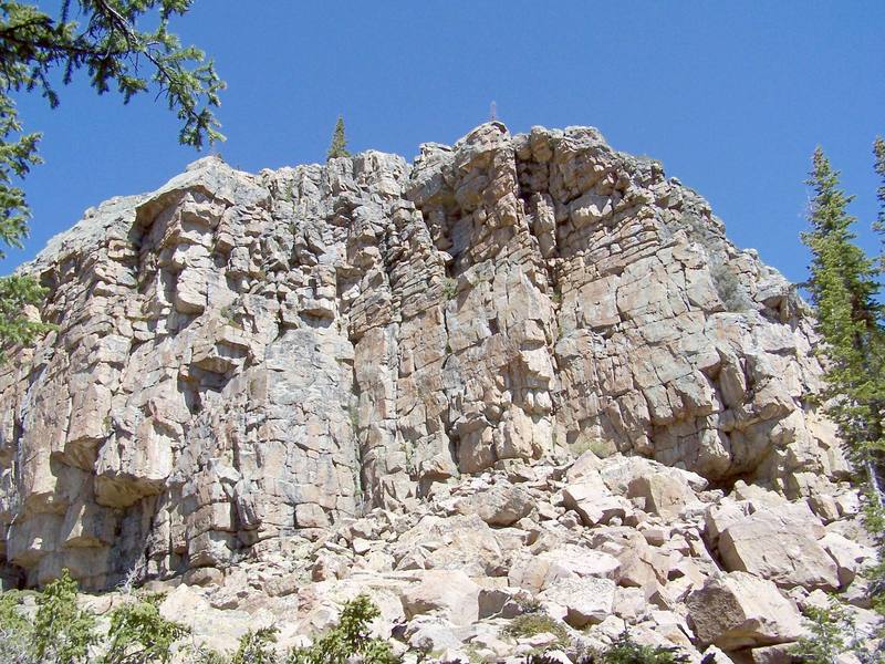 Vulgaria climbs the arete underneath the dead snag in the center of the photo.