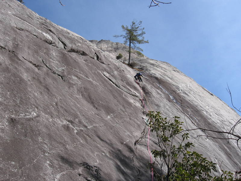 Beta photo showing the tree ledge at the top of P1 of Groover.