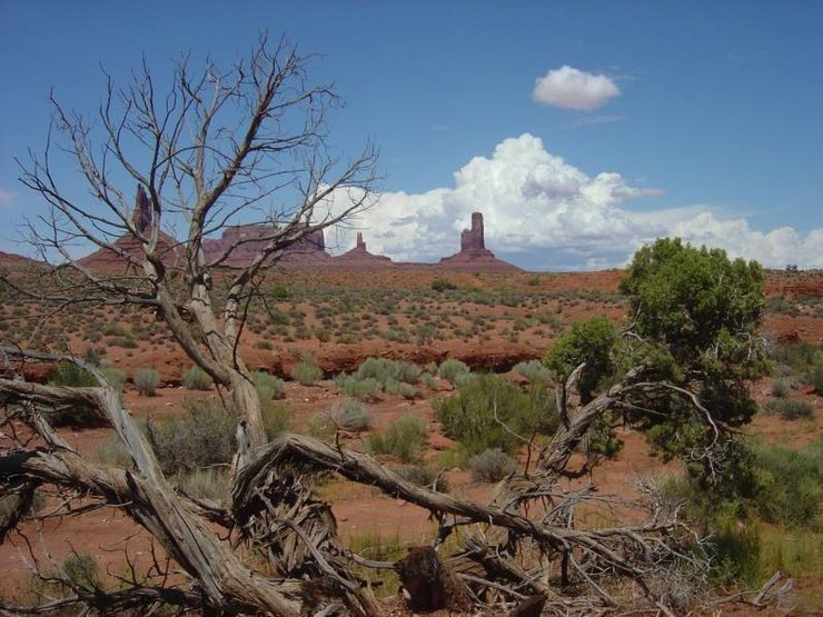 Looking north on the hike around the mittens. Wow was it hot that day.