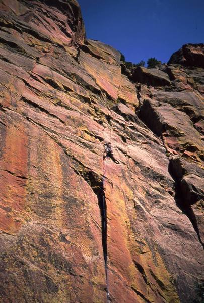 Joseffa Meir on Captain Beyond.<br>
<br>
Photo by Tony Bubb, perhaps 2004.
