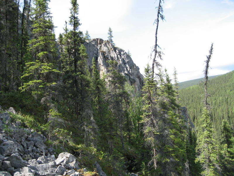 Crackland as seen from approach trail, backside of East Grapefruit Dome.