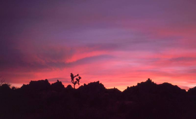 The sunset seen walking out from Watts Towers, 12/05. Photo by Tony Bubb.