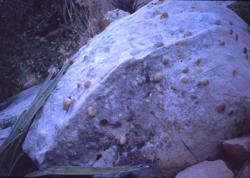 Even the boulders at the base have a lotta balls. Photo by Tony Bubb, 2006.