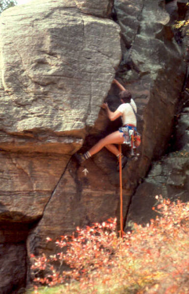 Leo H. actually climbing at Necedah.