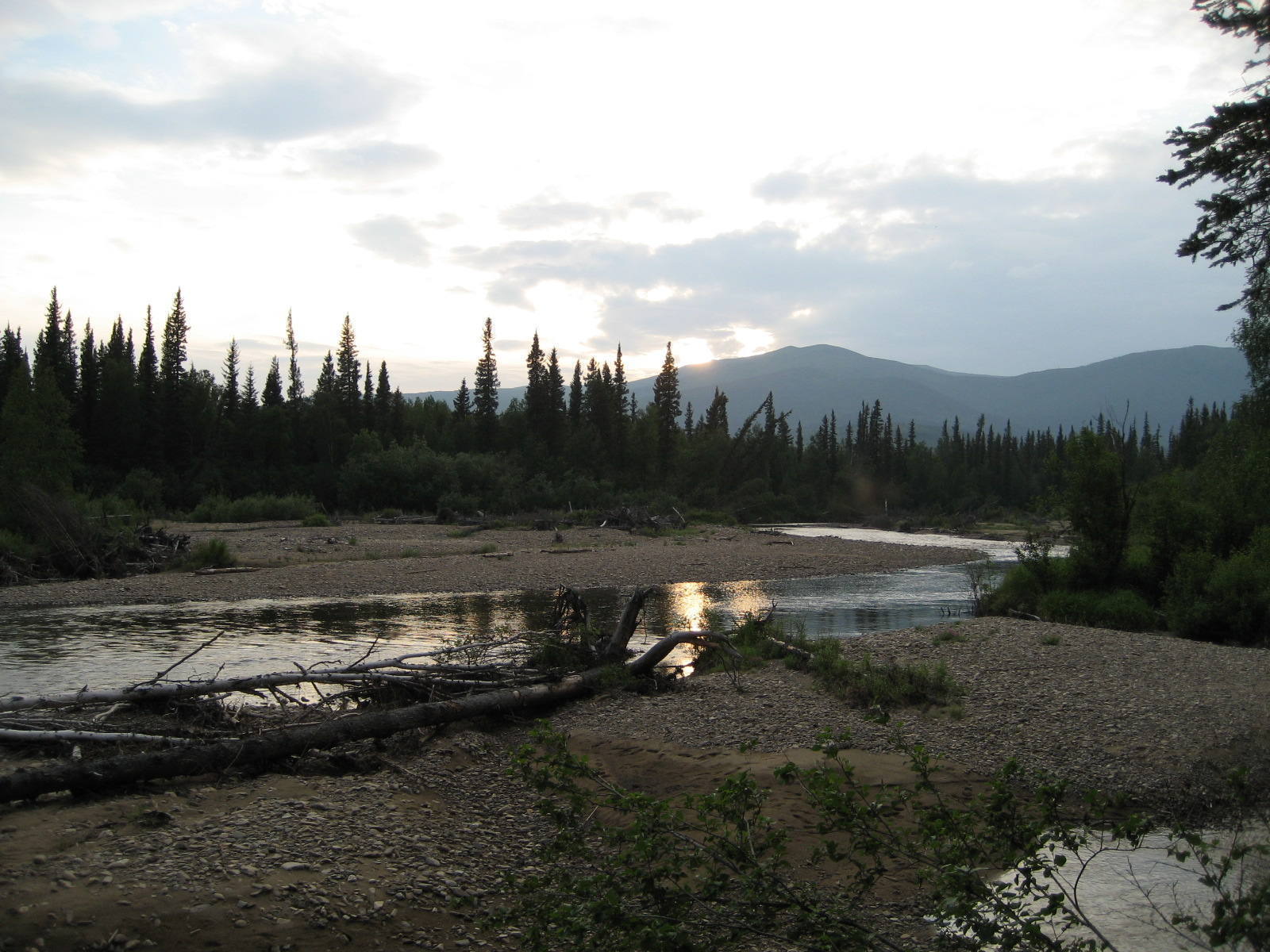 The North fork of the Chena River as viewed from the approach trail 11: ...