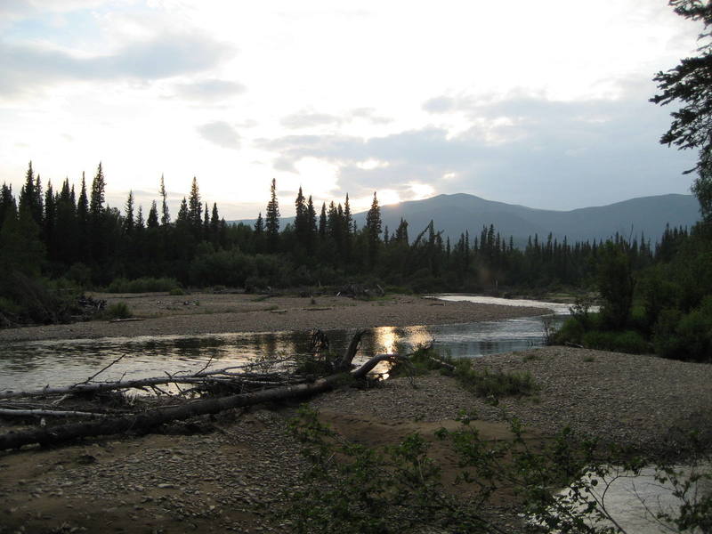The North fork of the Chena River as viewed from the approach trail 11:30 AK time.