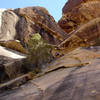 Brett getting in some pro before pulling the roof (crux) of Soylent Green Jeans. Fun climb!<br>
<br>
Taken 6/27/07