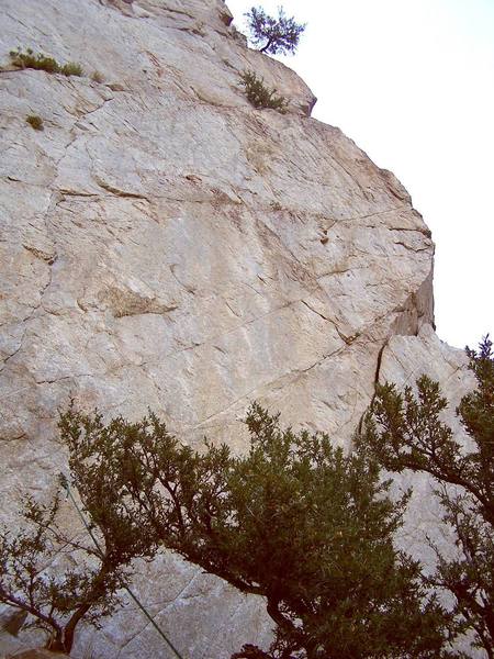 Butter Face climbs the crack that emerges from the brush, then is follows a bolt line that meanders right and up. Who knows where it goes from there? There is a fixed green rope to make the super rotten approach and descent less of a headache.