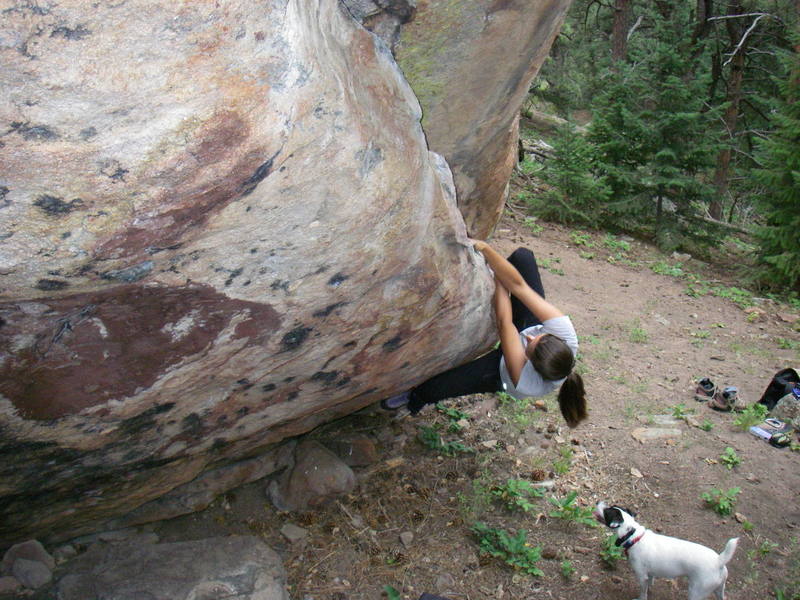 Monica on Mamoonious Flake, being spotted by Granite (the Jack Russell).