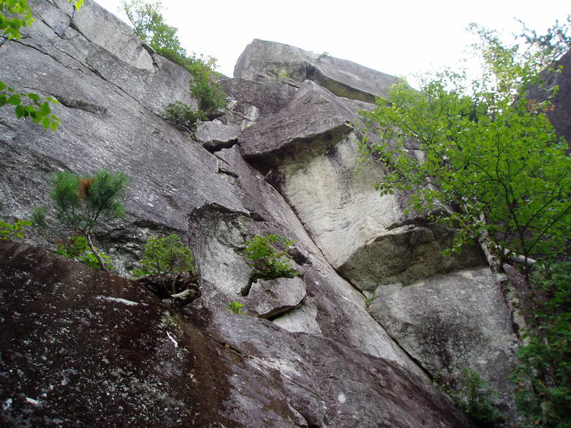 Fractured Fairy tale (left) and Over the Rainbow (right)