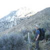 A bad pic of Bald Eagle Peak.  The trail contours below the ridge in the shade.