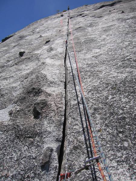 Gigi flys up p2 of the Tree Route