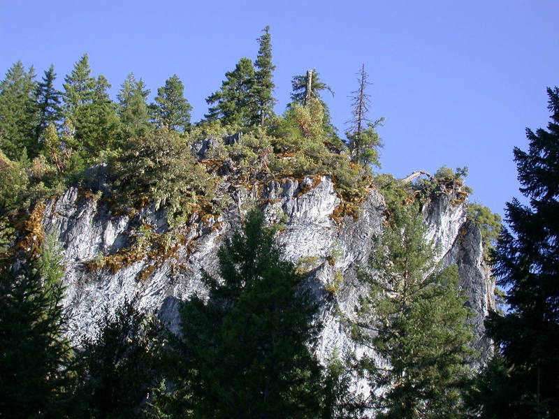 The top of the Aretes from the campsites across the road. The right side is the top of the [[High Country Headwall]]http://www.mountainproject.com/v/california/redwood_coast/trinity_aretes/105904844.