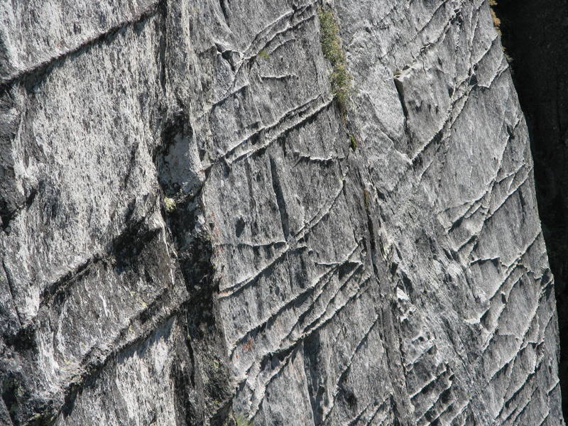 A photo of the ever so present dikes covering the walls at Lover's leap. These dikes are what give Lovers Leap its major characteristic and add the very unique climbing possibilities