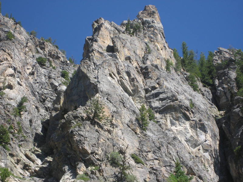 Scramble to first big tree along ridge. Follow on or to the right of the ridge for most of the climb.