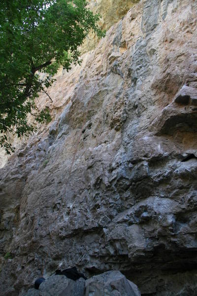Get a better photo up soon. Can you find the "alien face"?