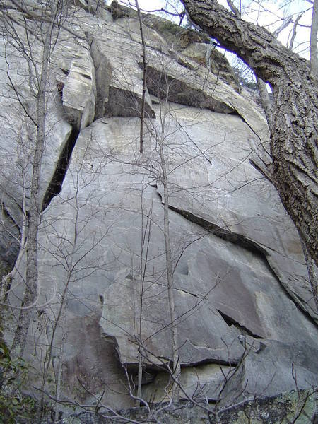 Cereal Buttress area...Fruit Loops on the left side (behind the tree), Granola (middle crack) and Whiskey for Breakfast on the right.